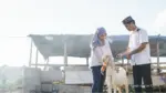Dua orang yang berkurban kambing perlu mempelajari larangan sebelum berkurban