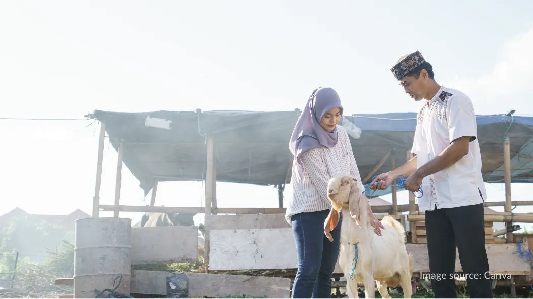 Dua orang yang berkurban kambing perlu mempelajari larangan sebelum berkurban