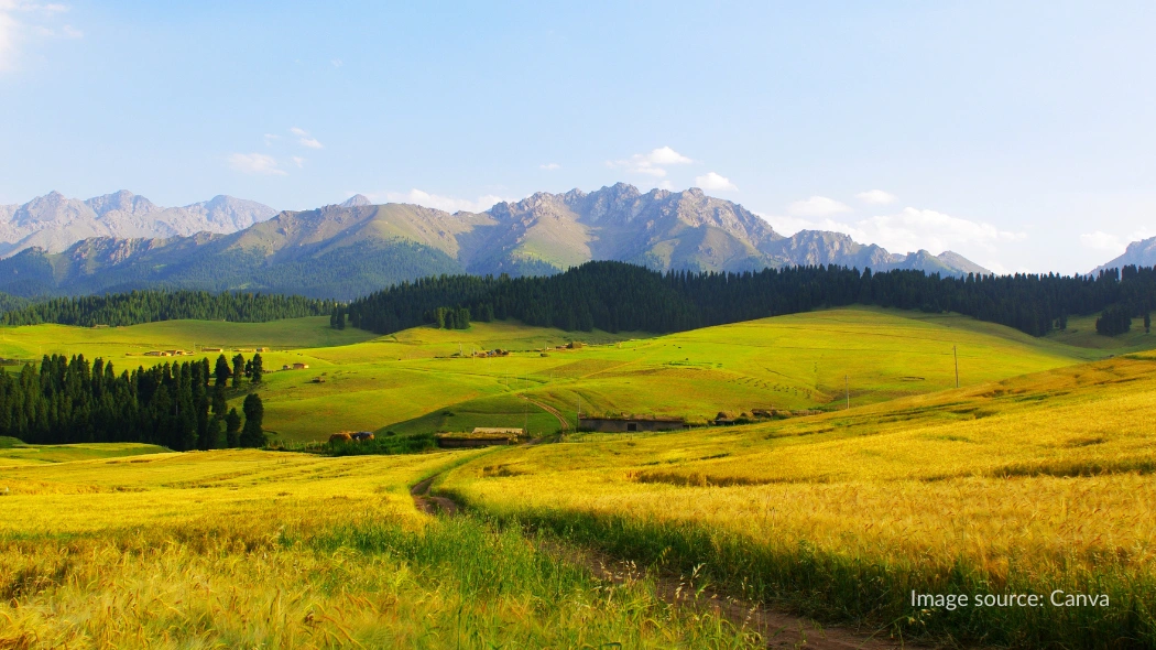 Jiangbulake Scenic Area saat musim panas