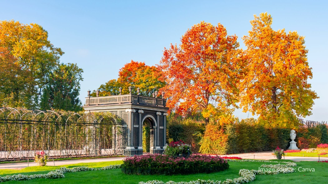 Taman indah di Istana Schonbrunn saat musim gugur