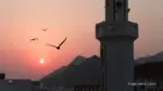 burung terbang di Mekkah