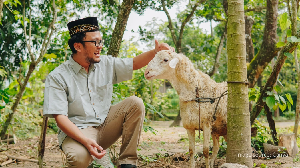 Kambing termasuk hewan ternak yang diperbolehkan untuk dikurbankan