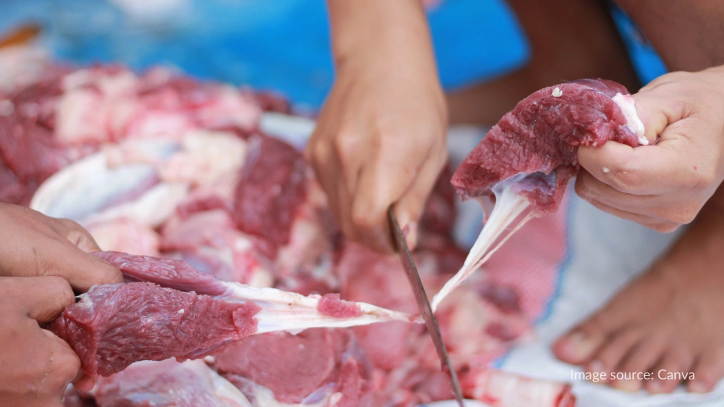 Proses pemotongan daging kurban dengan pisau tajam