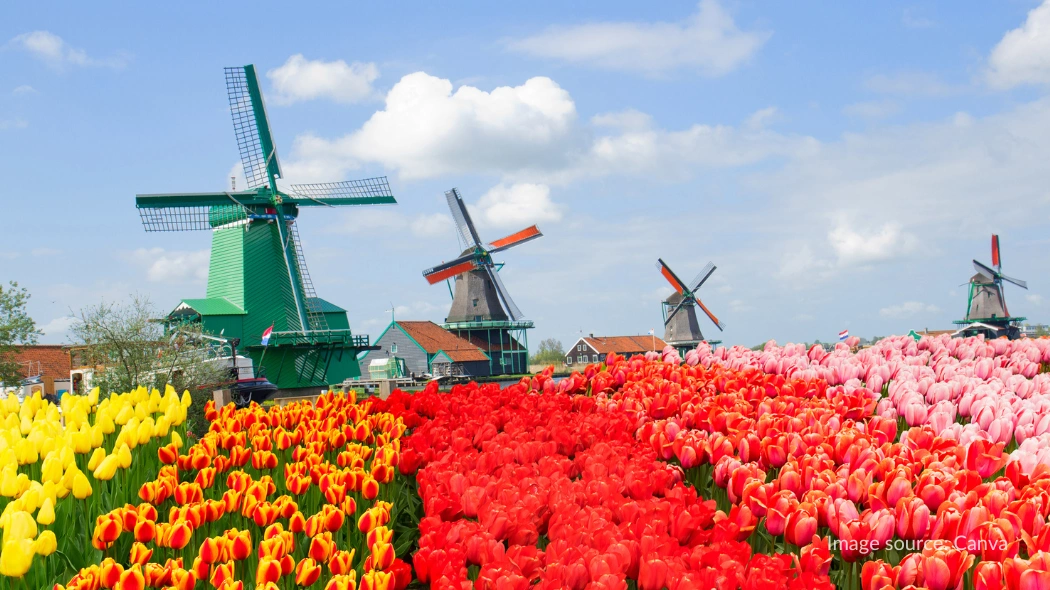 Zaanse Schans, Belanda